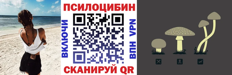 дарнет шоп  Шумерля  Галлюциногенные грибы ЛСД 