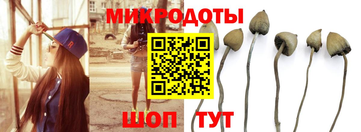 Шумерля  Псилоцибиновые грибы Cubensis  Галлюциногенные грибы Psilocybine cubensis  Вход с VPN 